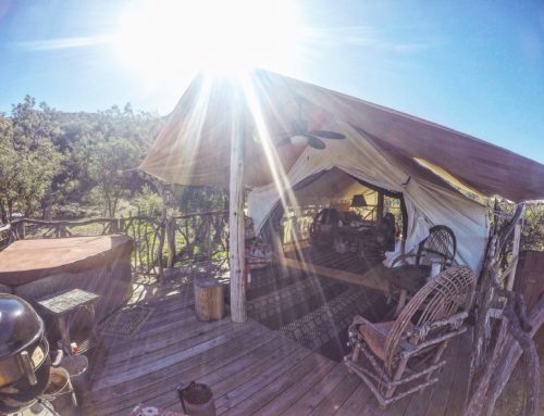 Camp Ribbonwood Safari Tent